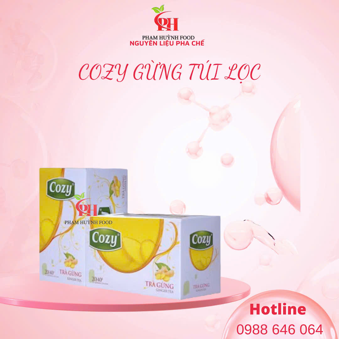 Trà Cozy hương Gừng túi lọc